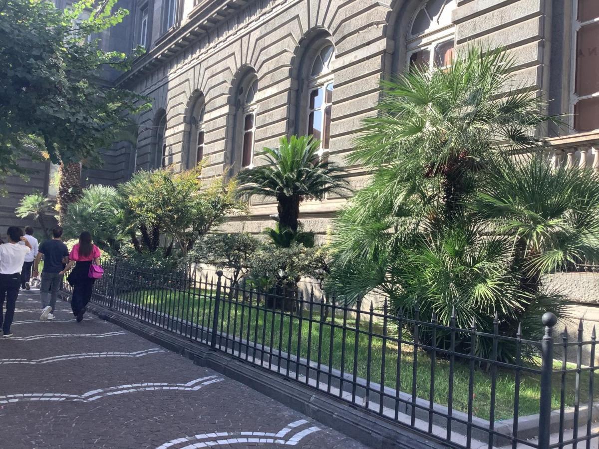 Tinnyhouse Napoli Dış mekan fotoğraf